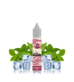 Menthe Fraîche Sel de Nicotine 10ml - Aisu Eremento