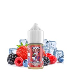 Concentré Fruits Rouges Givrés 0mg 30ml - Biggy Bear