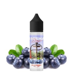 Blueberry 0mg 50ml - Shisha Delight
