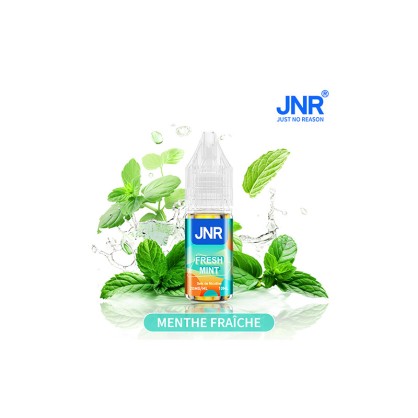 Fresh Mint JNR – Lot de 10 e-liquides - Accueil  -   - 59,90 €