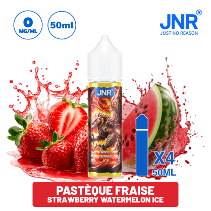 E-liquide JNR 50 ml | Saveurs des Puffs JNR - Puff JNR  -   - 21,90 €