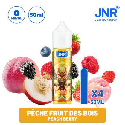 E-liquide JNR 50 ml | Saveurs des Puffs JNR - Puff JNR  -   - 21,90 €