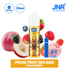 E-liquide JNR 50 ml | Saveurs des Puffs JNR - Puff JNR  -   - 21,90 €