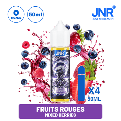 E-liquide JNR 50 ml | Saveurs des Puffs JNR - Puff JNR  -   - 21,90 €