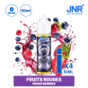 E-liquide JNR 50 ml | Saveurs des Puffs JNR - Puff JNR  -   - 21,90 €