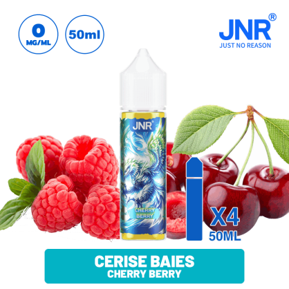 E-liquide JNR 50 ml | Saveurs des Puffs JNR - Puff JNR  -   - 21,90 €