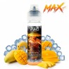 Raiden Max 50ML - Aromes et Liquides - Aromes et liquides  - Aromes et liquides  - 24,90 €