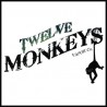 E-liquide Mangabeys Iced 50ml Ice Age Twelve Monkeys fabriqué par Twelve Monkeys de Twelve Monkeys