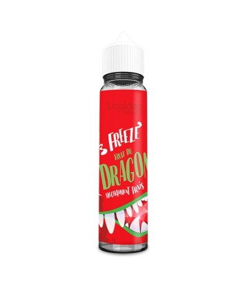 Freeze Dragon 50ml - Liquideo - Liquideo Freeze  - Liquideo  - 20,90 €